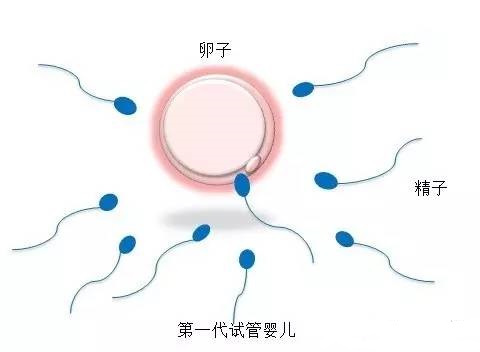 苏雨桐 副主任医师